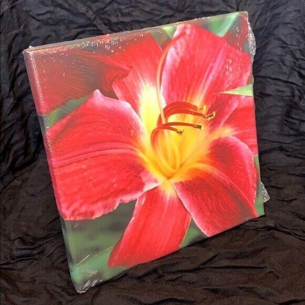 Summer Fierce Signed Flower Photo Print on Canvas Wall Hanging